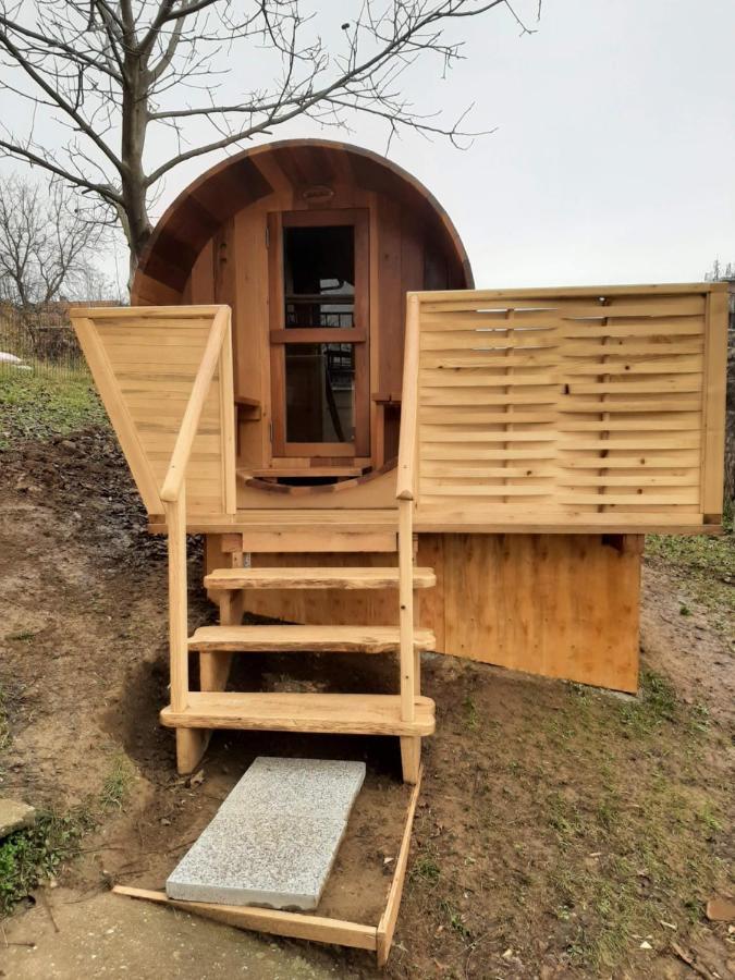 Apartmani Žuti Leptir Vrdnik Exterior foto